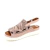 www.ascalini.online-38fbc4b472a811eab006001e674d905a_a5d3f3ac72ac11eab006001e674d905a