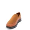 www.ascalini.online-ec726a98599611eabbad00259071146d_8f366c0359a111eabbad00259071146d