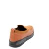 www.ascalini.online-ec726a98599611eabbad00259071146d_8f366c0759a111eabbad00259071146d