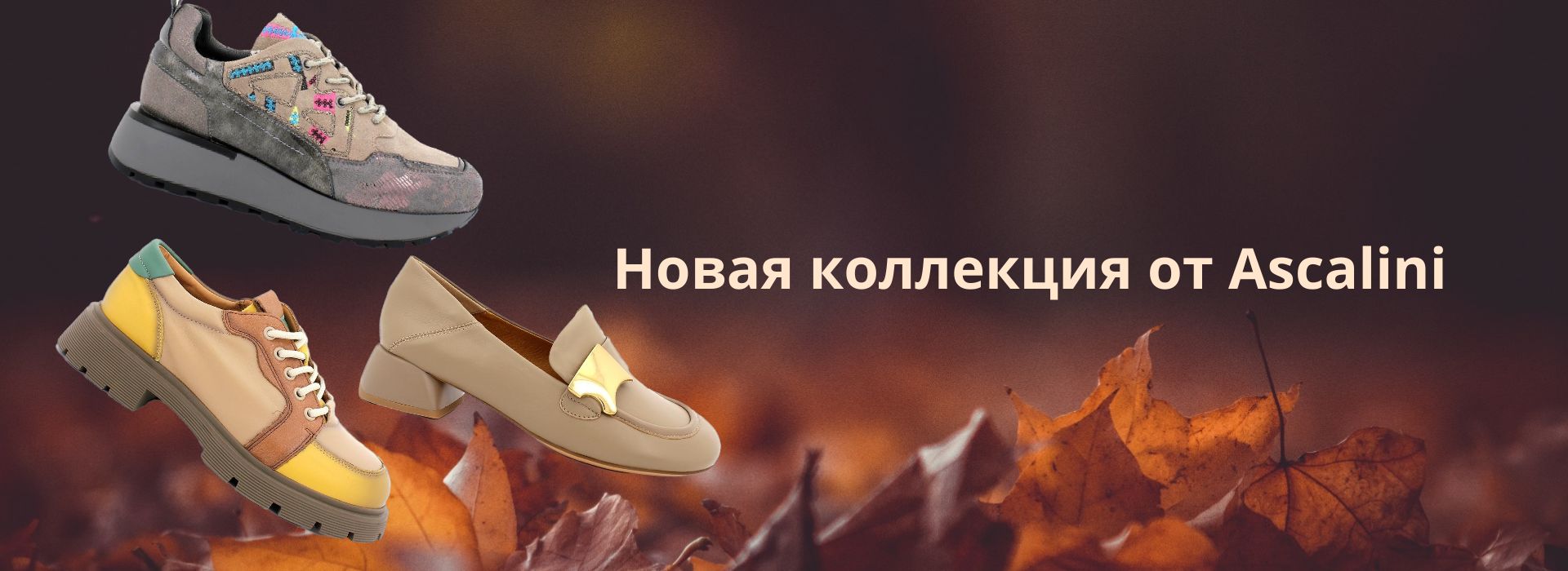 Купить женскую Обувь и Аксессуары в интернет магазине